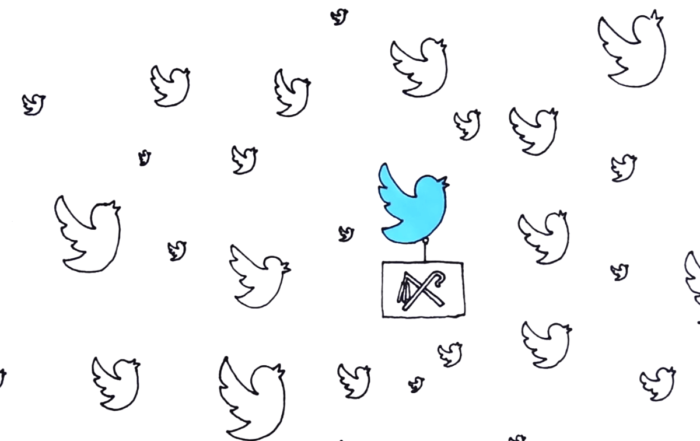 oiseau-Twitter-videoscribing-dessin-